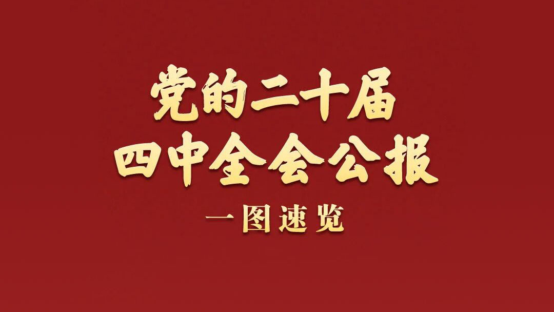 一圖速覽！黨的二十屆四中全會公報　