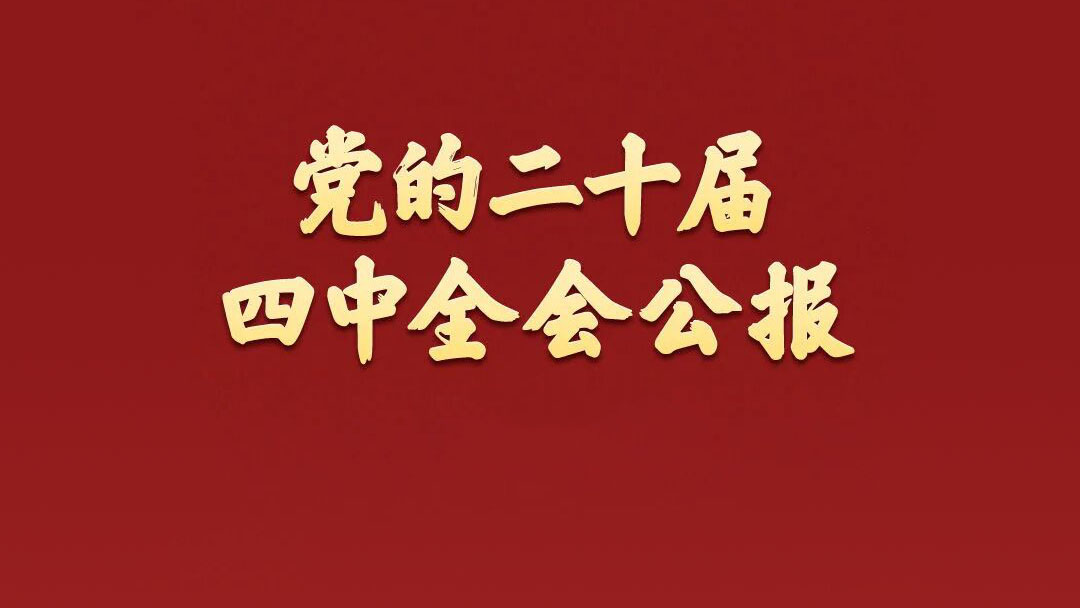 中國共產黨第二十屆中央委員會第四次全體會議公報　